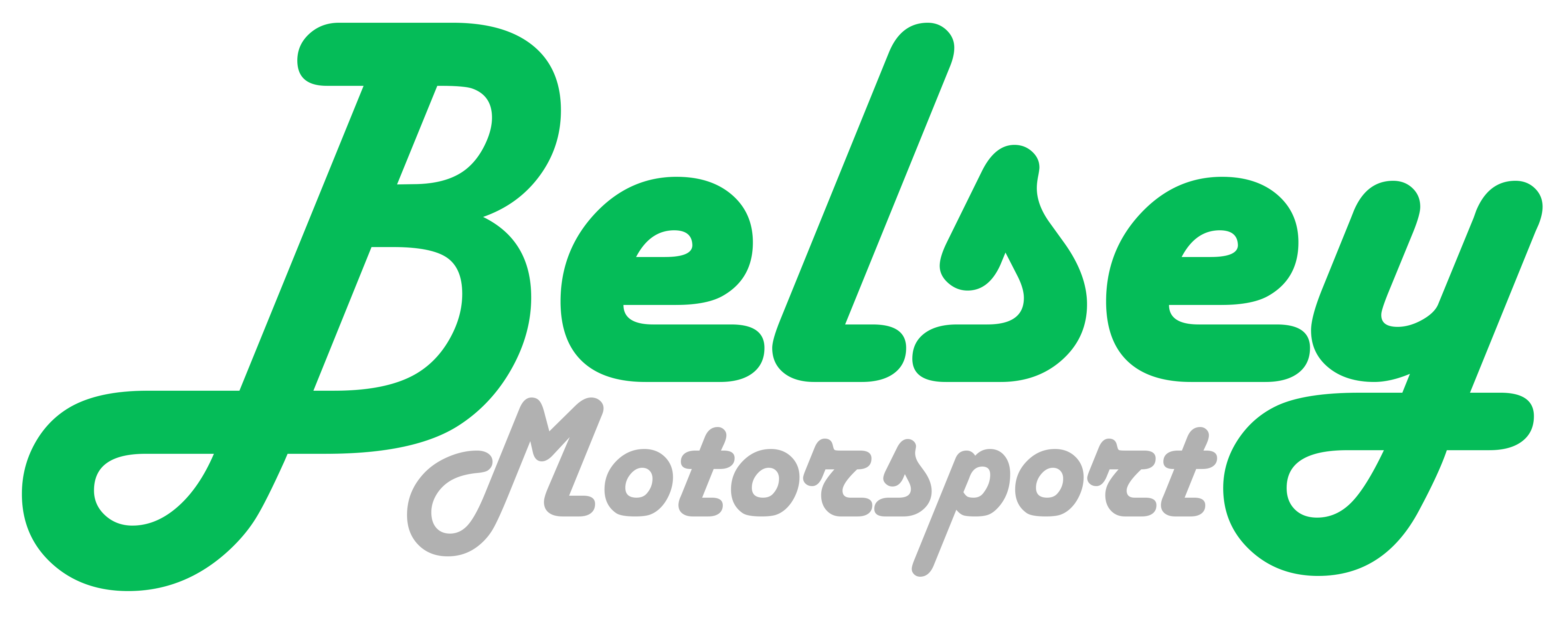 BMS Logo no Bg